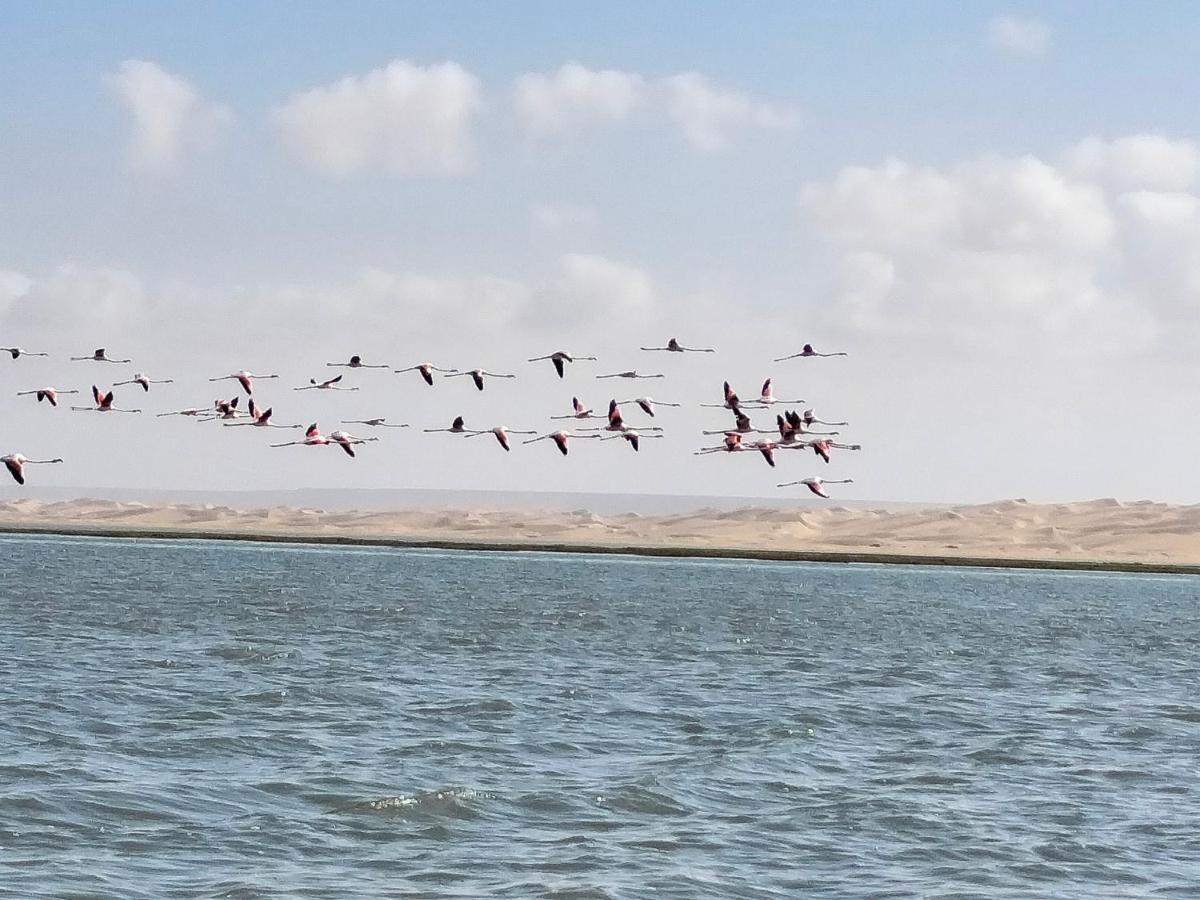Hotel El ghazi Tarfaya Kültér fotó
