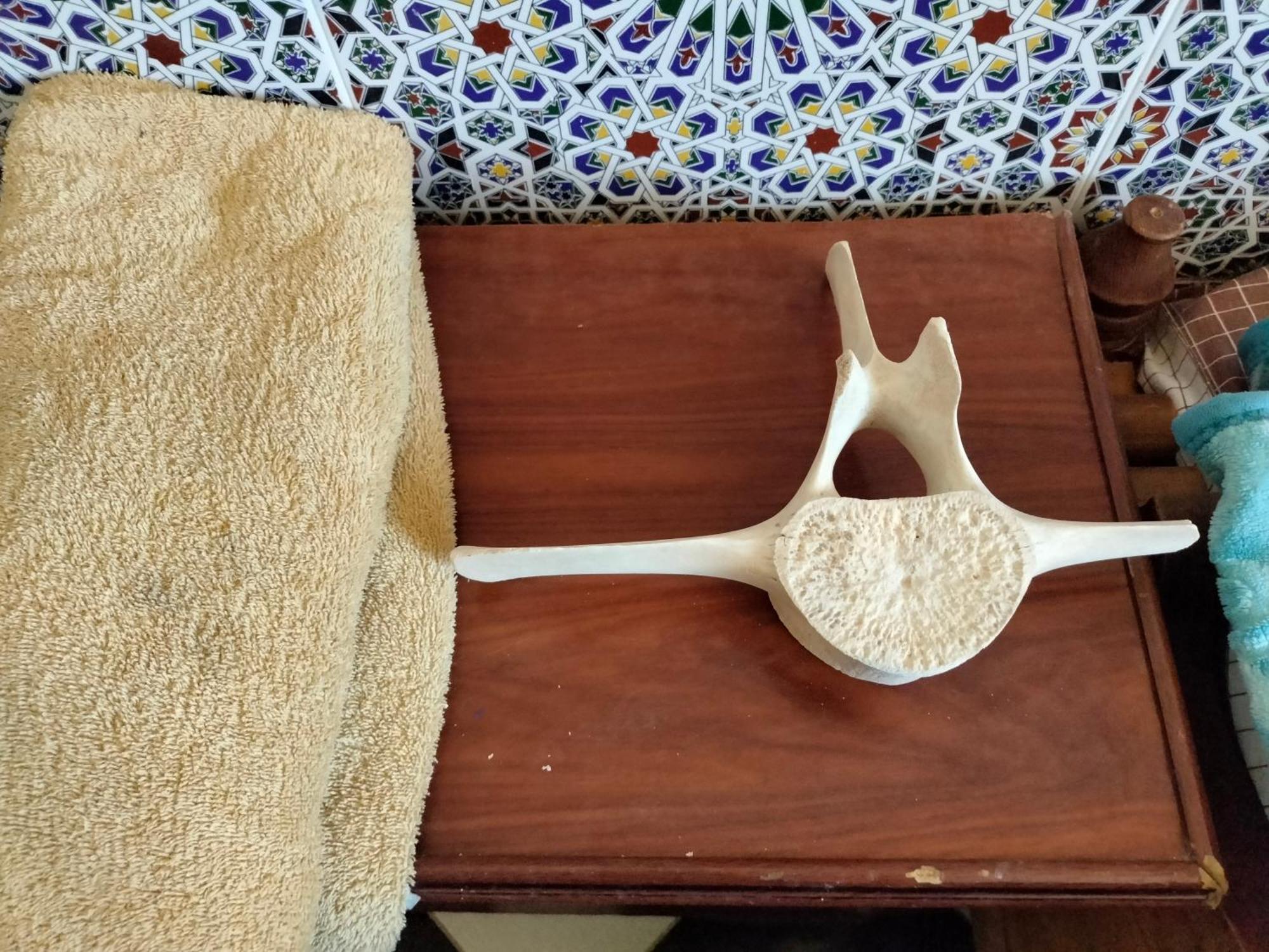 Hotel El ghazi Tarfaya Kültér fotó
